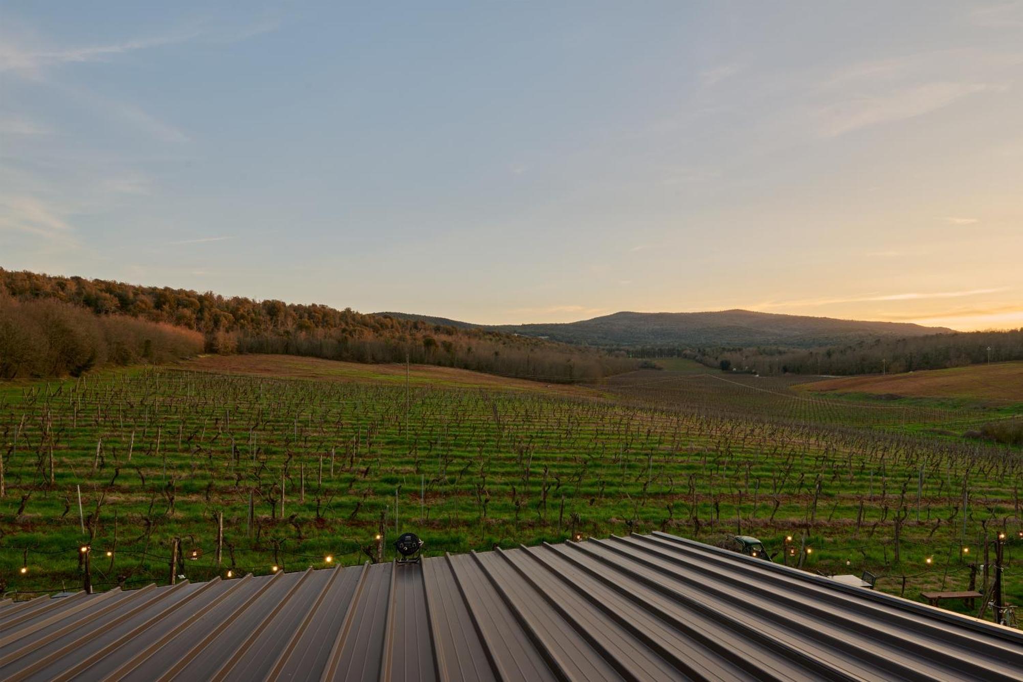 La Dama Country Rooms Monteriggioni Exterior photo